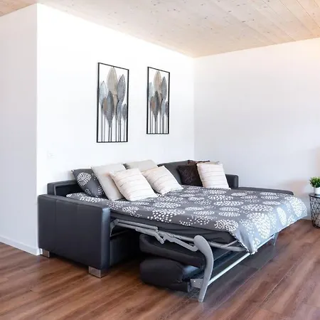 Marlis 180 View Swimming Pool And Parking Minusio