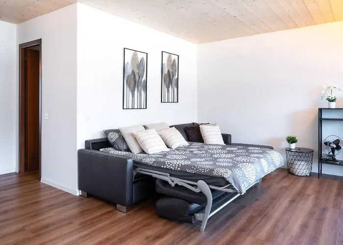 Marlis 180 View Swimming Pool And Parking Minusio